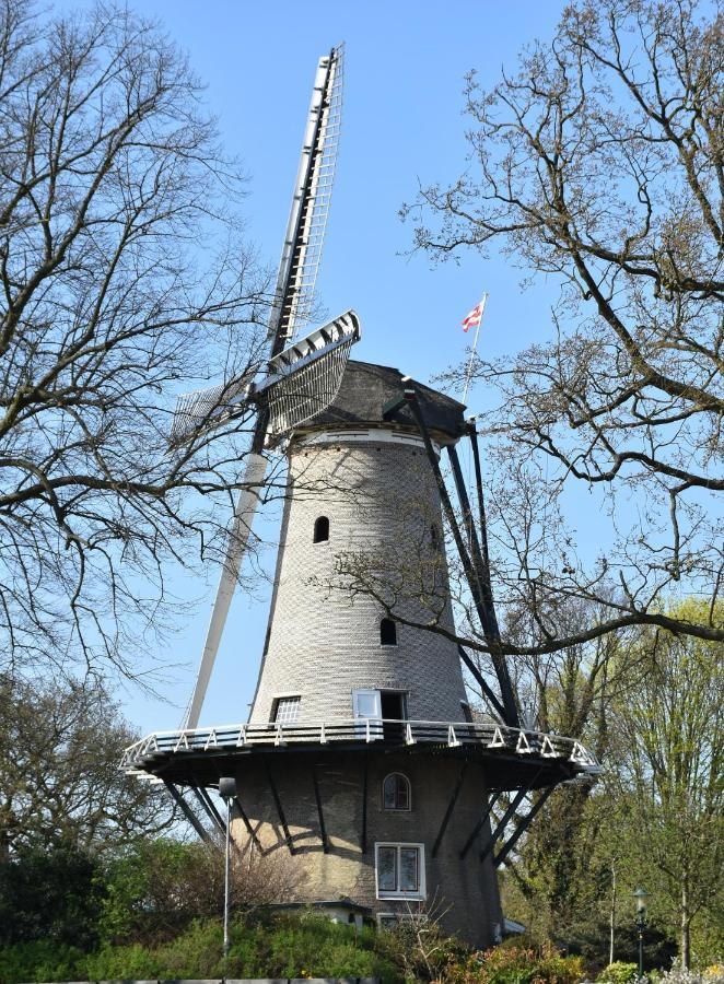 Studio Schipper Alkmaar Kültér fotó